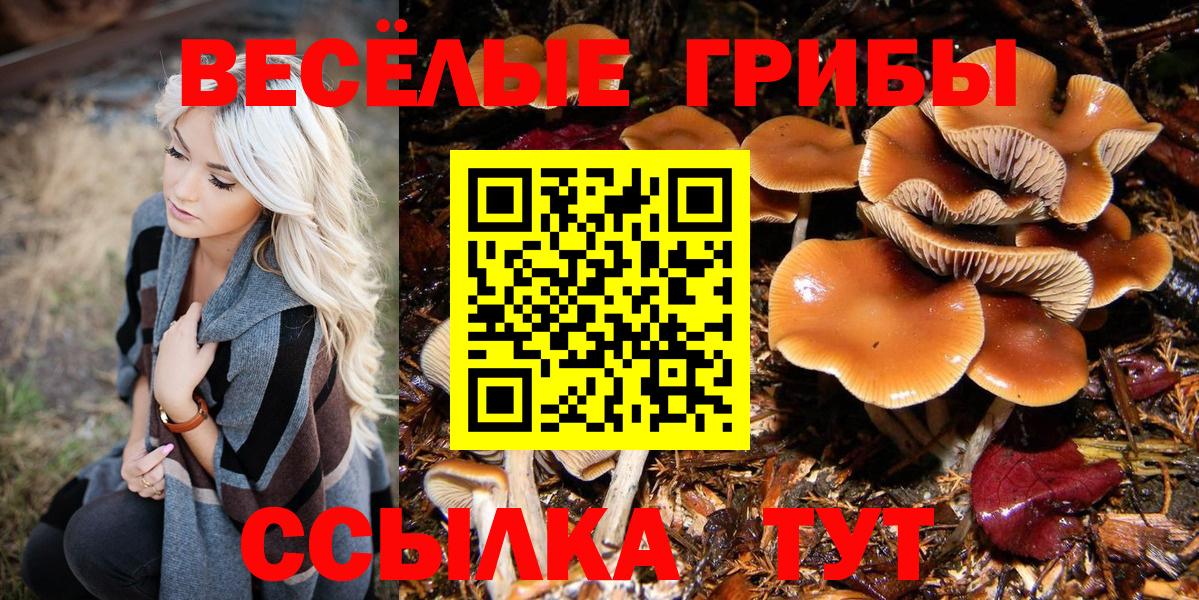 Карталы  Псилоцибиновые грибы MAGIC MUSHROOMS  Вход с VPN 